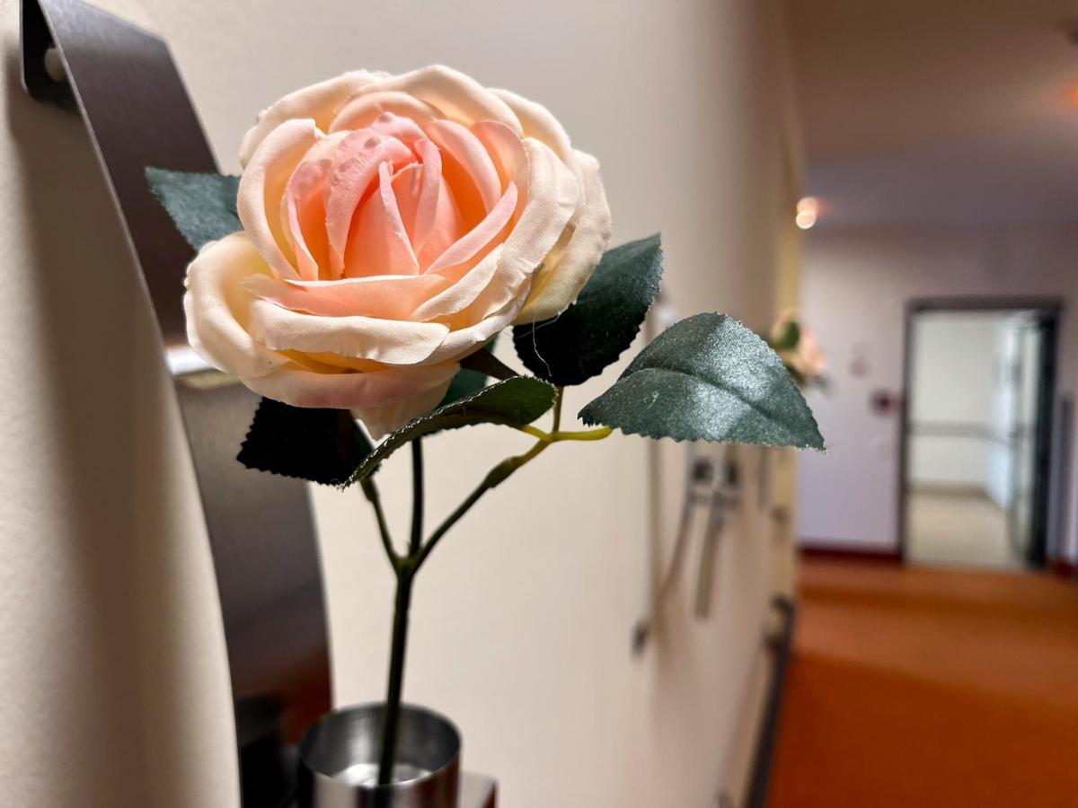 ホテル Residenciano ツェレ エクステリア 写真